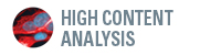 High-Content Analysis