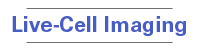 Live-Cell Imaging